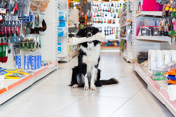 PET SUPLIES