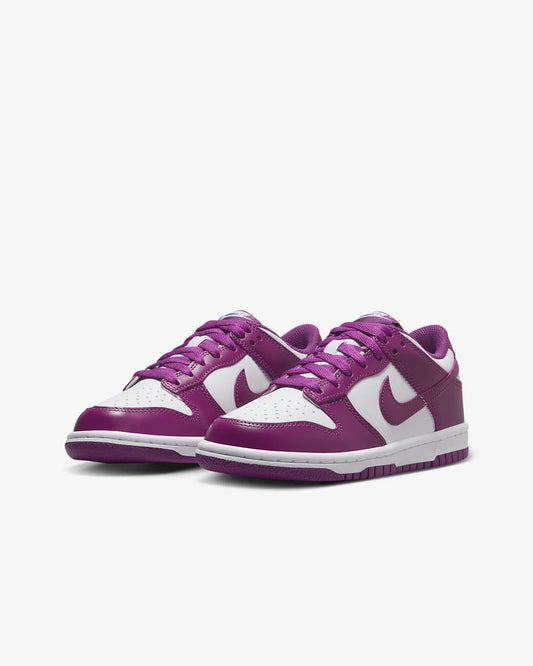 Youth Nike Dunk "Viotech" GS Kids Athletic Fashion Sneaker